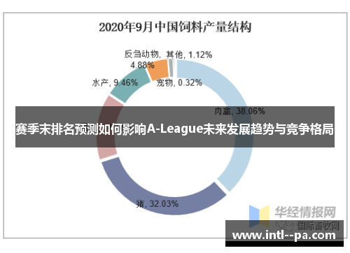 赛季末排名预测如何影响A-League未来发展趋势与竞争格局 赛季末排名预测如何影响A-League未来发展趋势与竞争格局