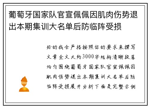 葡萄牙国家队官宣佩佩因肌肉伤势退出本期集训大名单后防临阵受损
